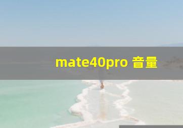 mate40pro 音量